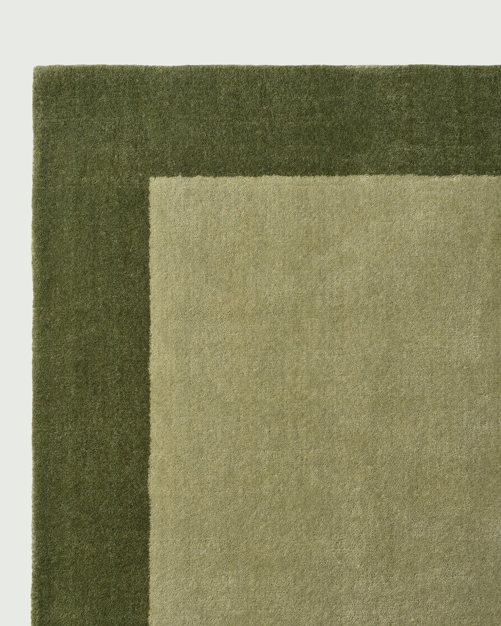 Sage Green Bordered Area Rug